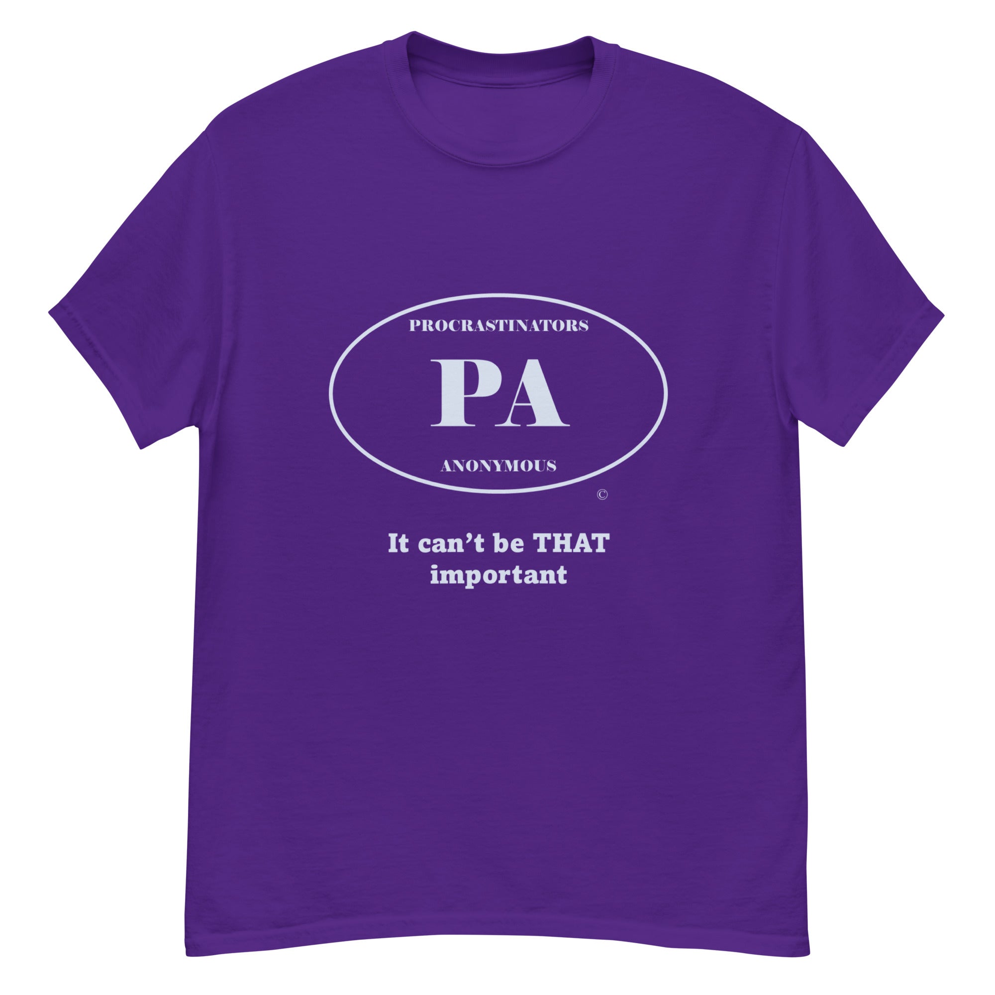 Can't be important Unisex classic tee